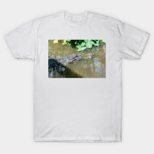 Alligator in wildlife preserve T-Shirt